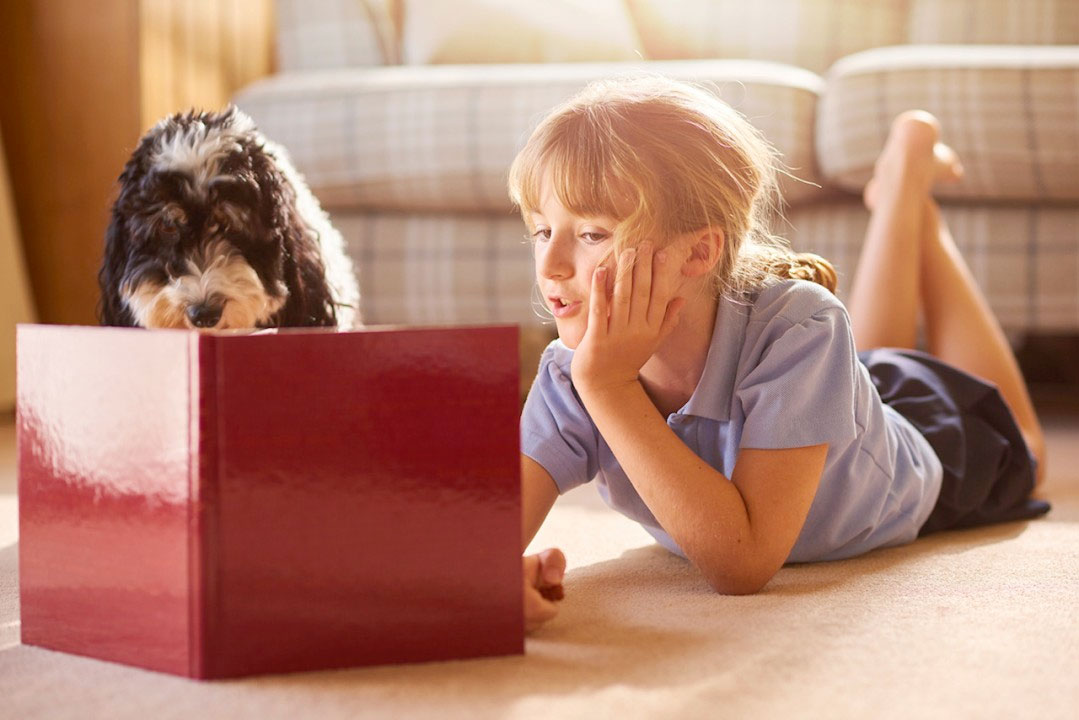 Repeated reading, a high impact strategy for improving reading fluency